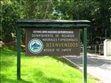 Área de Acampar y Recreación de Guavate - CAYEY